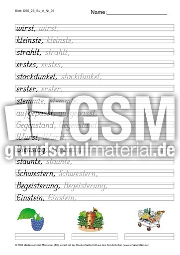 DSS_2S_Bu_st_Nr_05.pdf